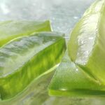 Aloe vera fresca su un tavolo, simbolo di depurazione del fegato e benessere.