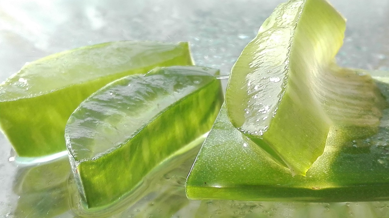 Aloe vera fresca su un tavolo, simbolo di depurazione del fegato e benessere.